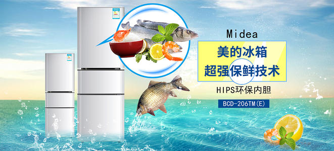 岐阜医科大学Computer Science Diplom